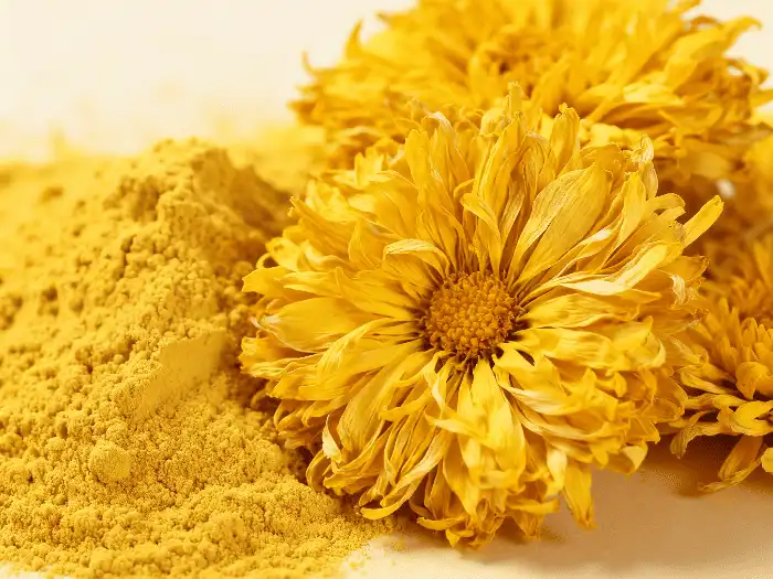 What Are the Benefits of Lutein Powder for Eye Health?